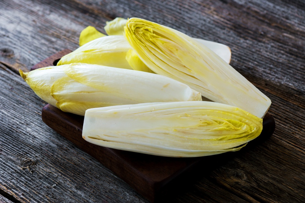 Como Equilibrar a Microbiota Intestinal Naturalmente