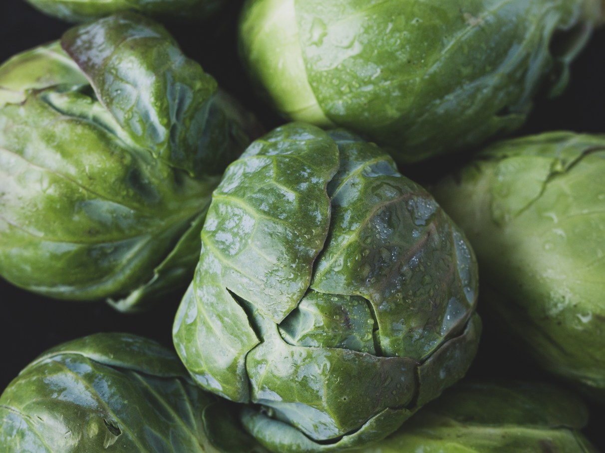 Como cultivar couve-de-bruxelas em casa