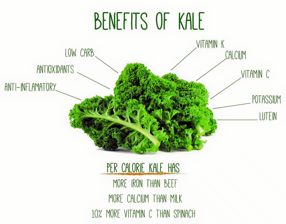 Como cultivar couve kale em casa
