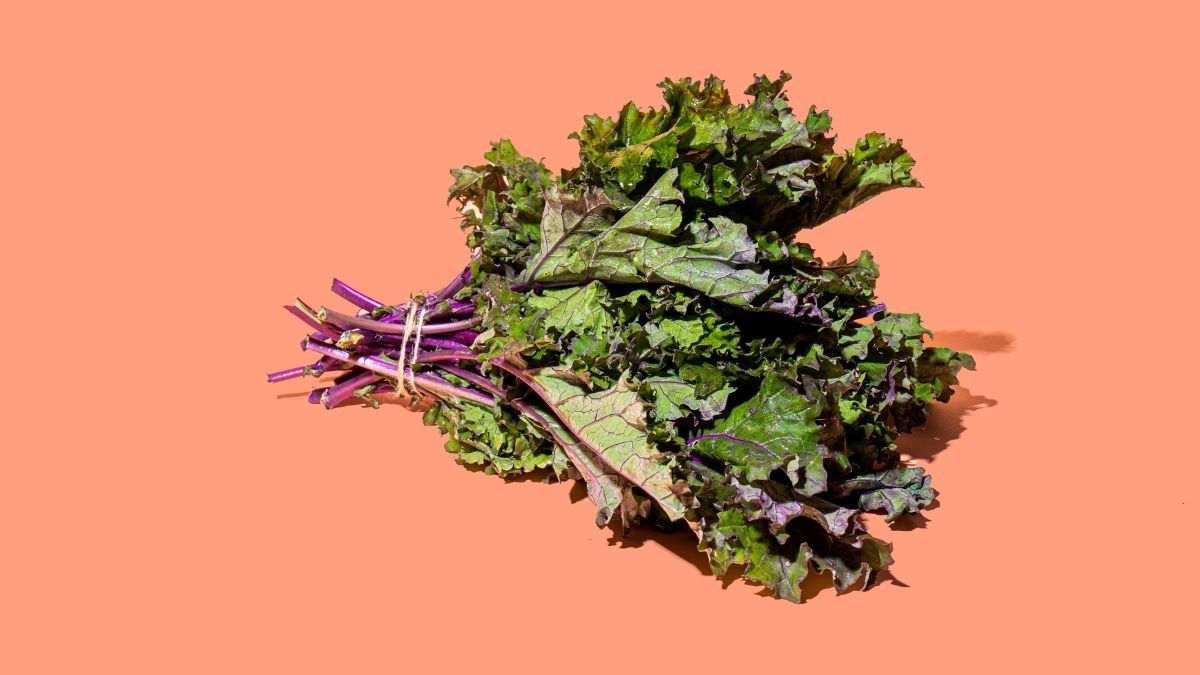 Diferenças entre couve e couve kale