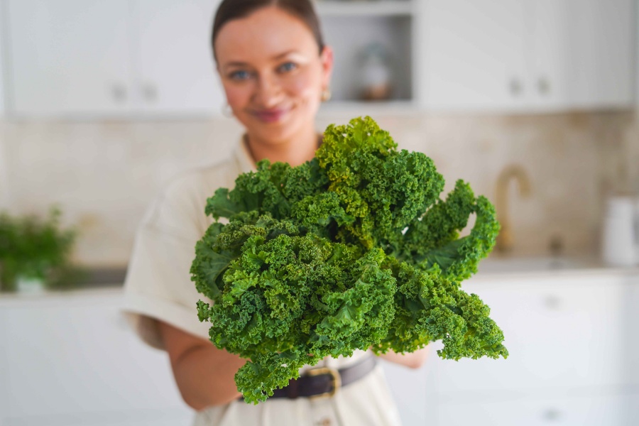 Diferenças entre couve e couve kale