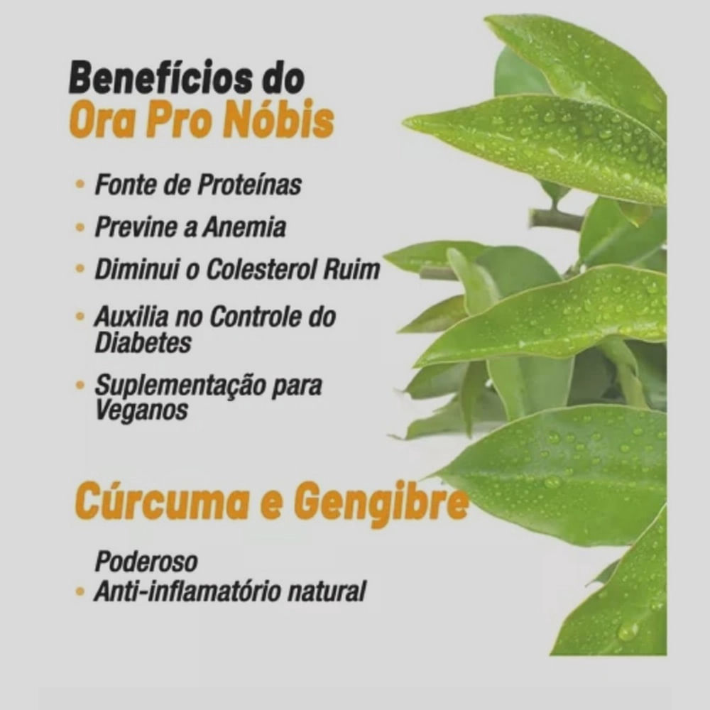 Benefícios da Pimenta Preta na Absorção de Nutrientes