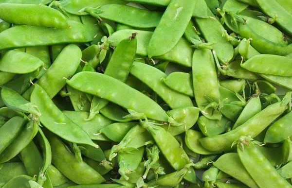 5 Benefícios Surpreendentes da Ervilha Torta para sua Saúde