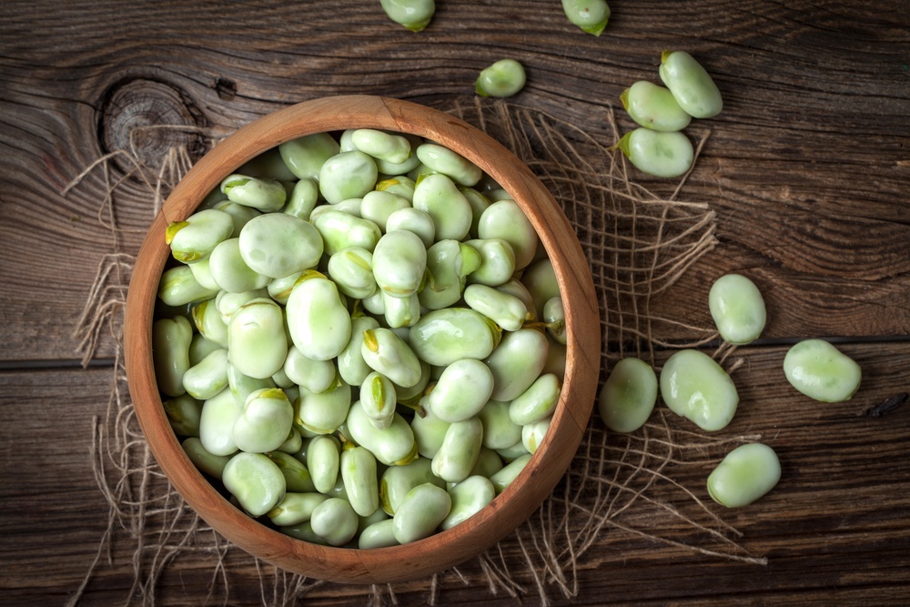 Fava vs. outras leguminosas: qual a melhor opção?