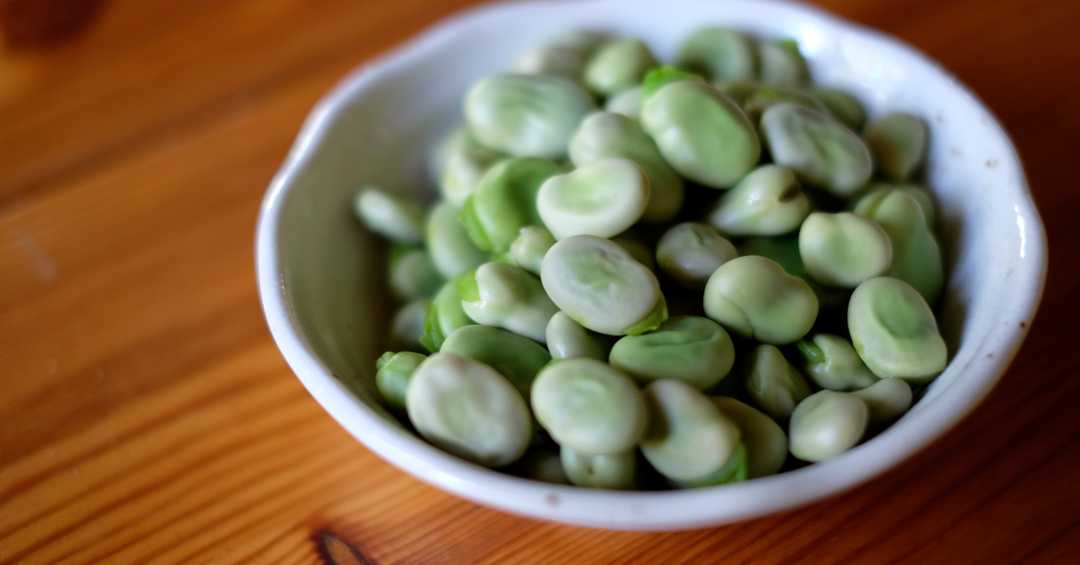 Fava verde: um superalimento para a sua dieta