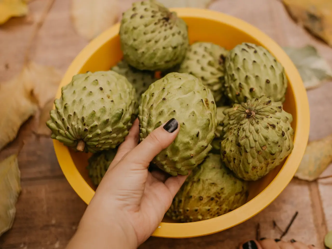 Atemoia vs. Graviola: Quais as Diferenças nos Benefícios das Folhas?