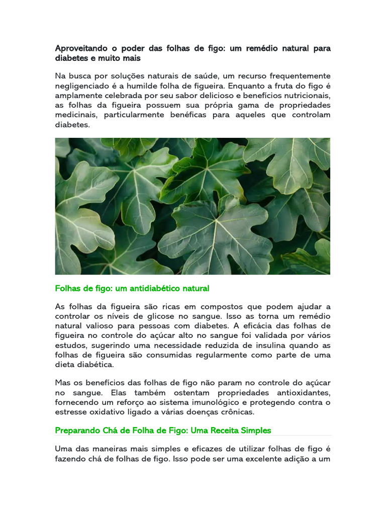 Como preparar chá de folha de figo para diabetes