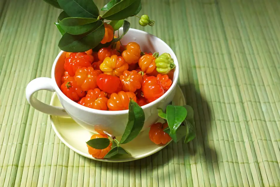 Receitas Criativas com Chá de Pitanga para Potencializar Efeitos