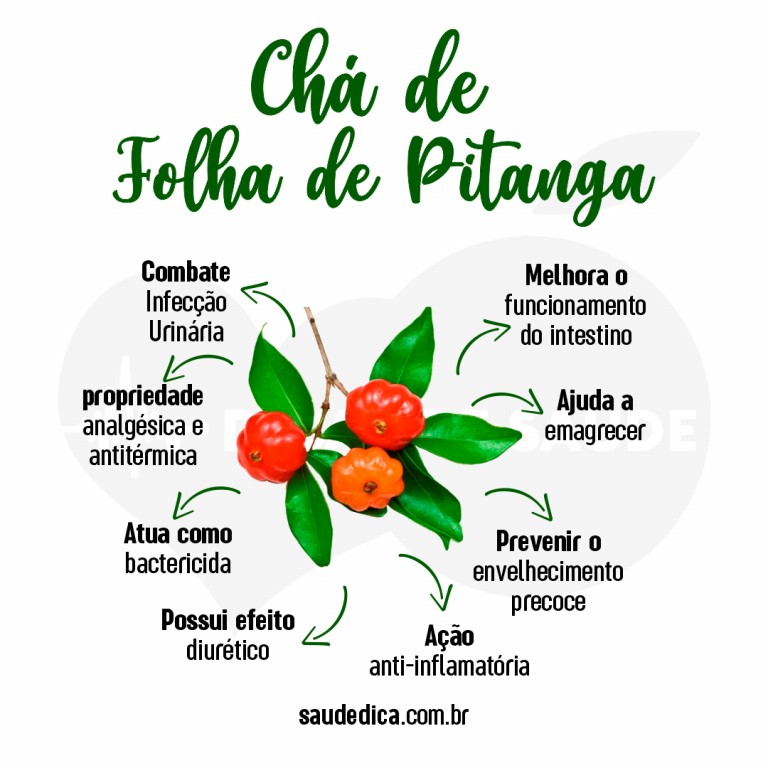 Chá de Pitanga vs. Outras Folhas Medicinais: Qual o Melhor?