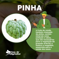 Fruta-do-conde na dieta para diabéticos