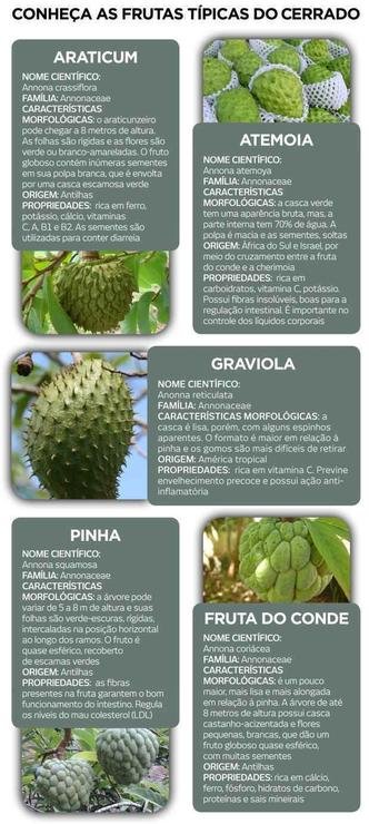 benefícios da fruta do conde ou pinha