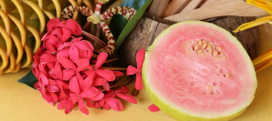 Outras Frutas Eficazes no Controle da Diarreia Leve