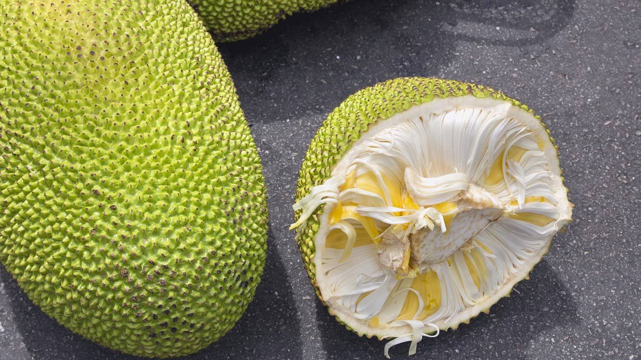 Como preparar o caroço de jaca para consumo