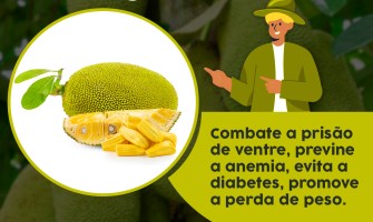 Receitas saudáveis com jaca para o dia a dia