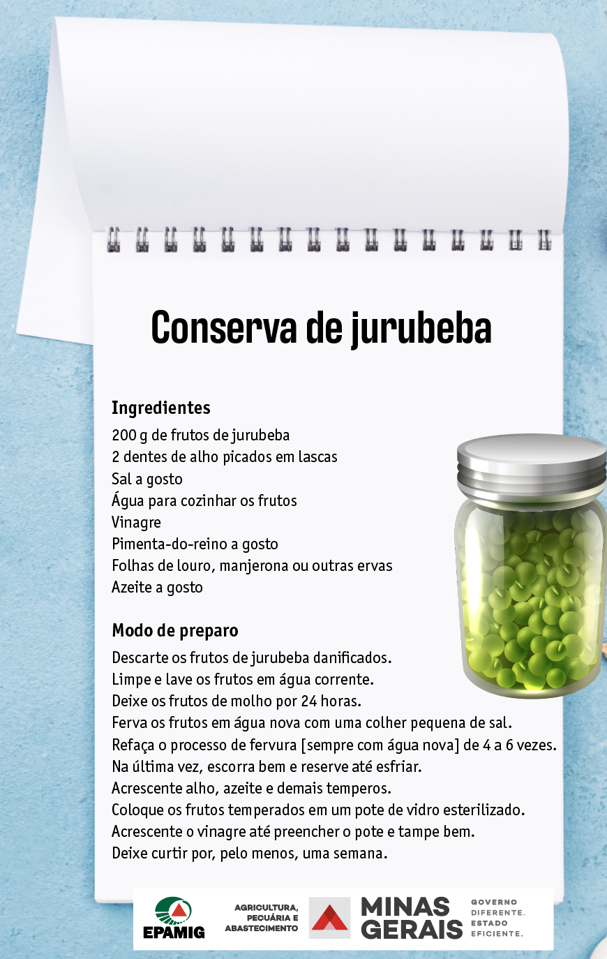 benefícios da jurubeba