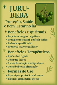 benefícios da jurubeba
