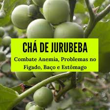 Receitas com jurubeba em conserva