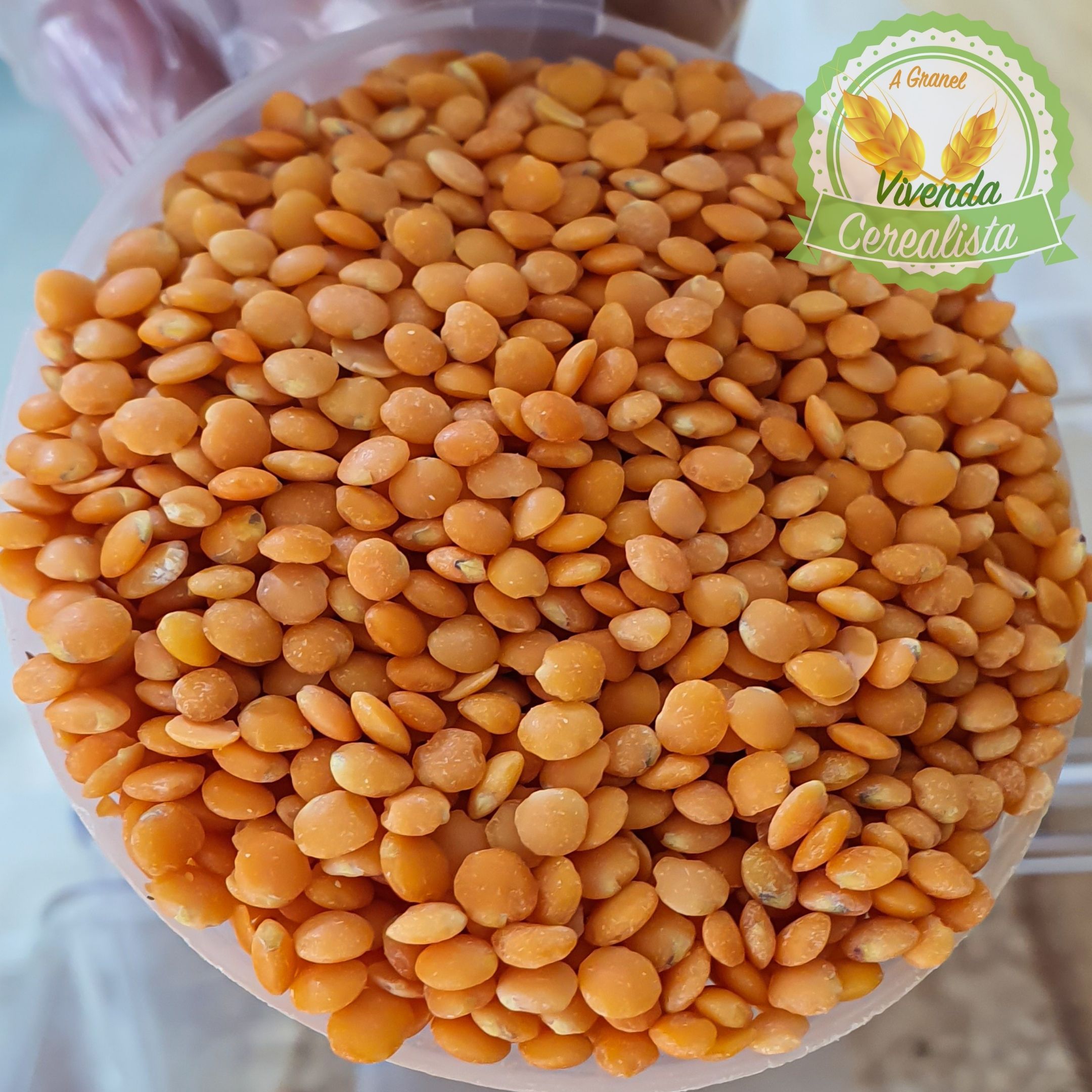 Hambúrguer Vegetal com Lentilha Rosa