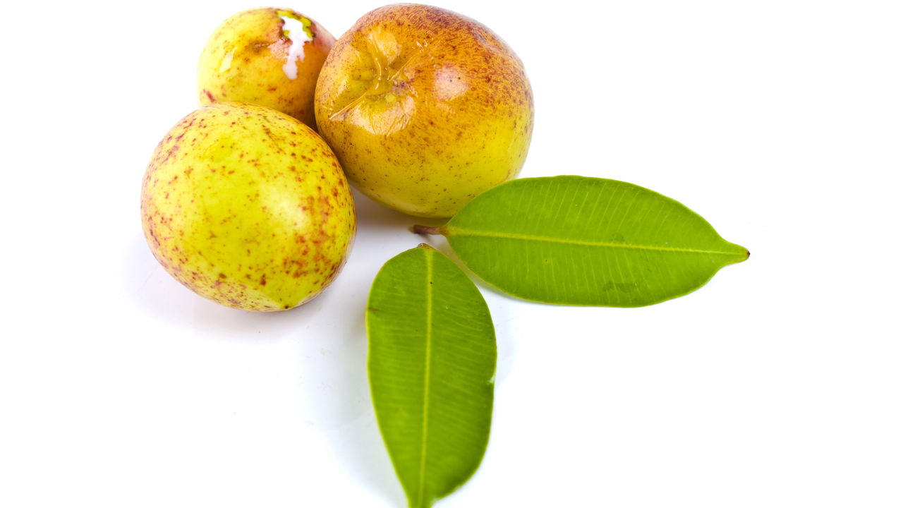 5 Receitas de Sucos Funcionais com Mangaba