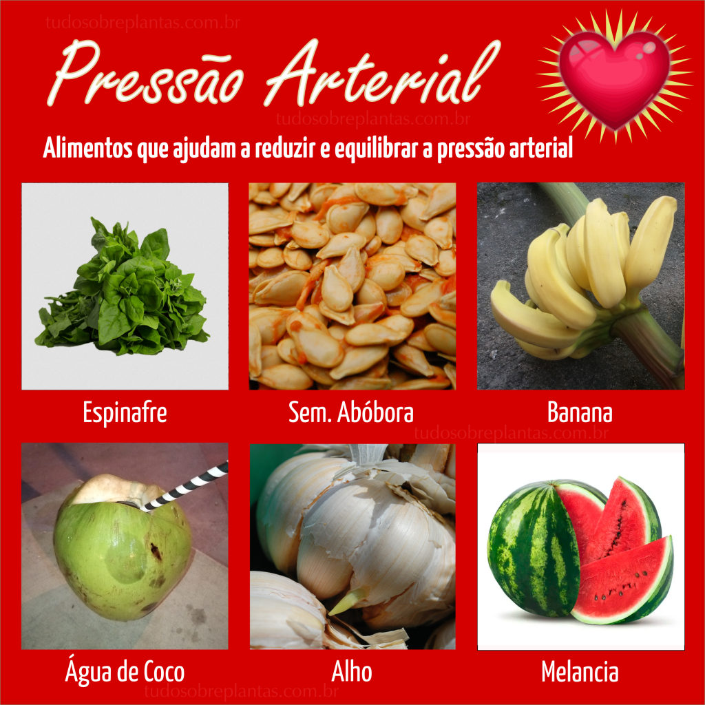 Mangaba e Minerais Essenciais: Uma Dupla para o Coração