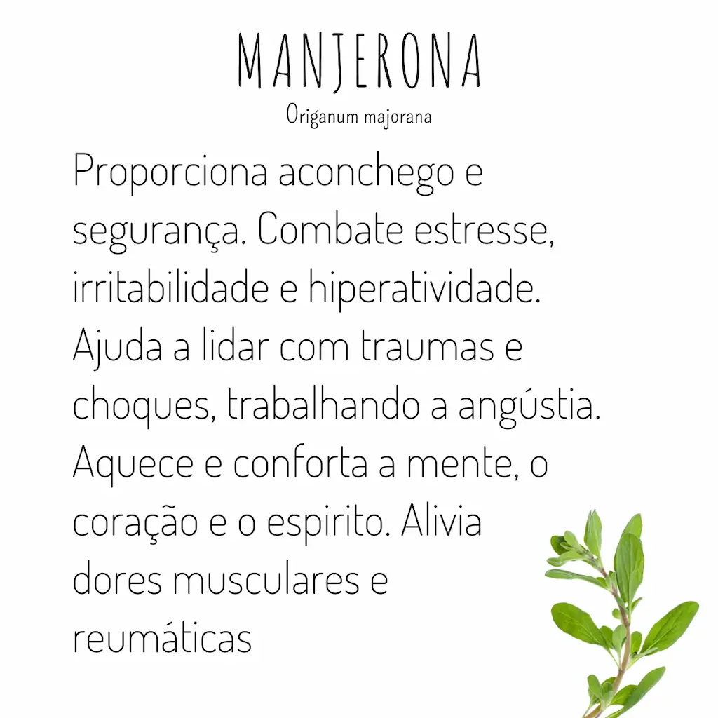 Como cultivar manjerona em vaso: guia completo