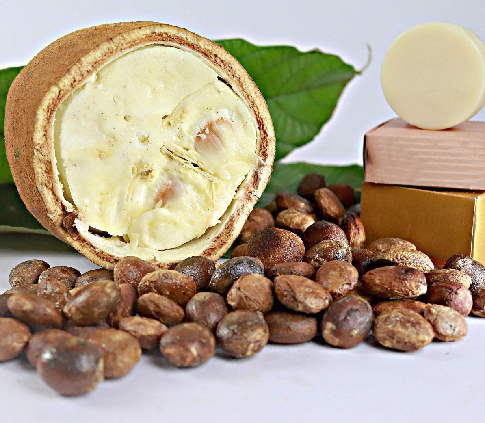 Manteiga de Cupuaçu vs. Outras Manteigas Vegetais: Qual a Melhor para Seu Cabelo?