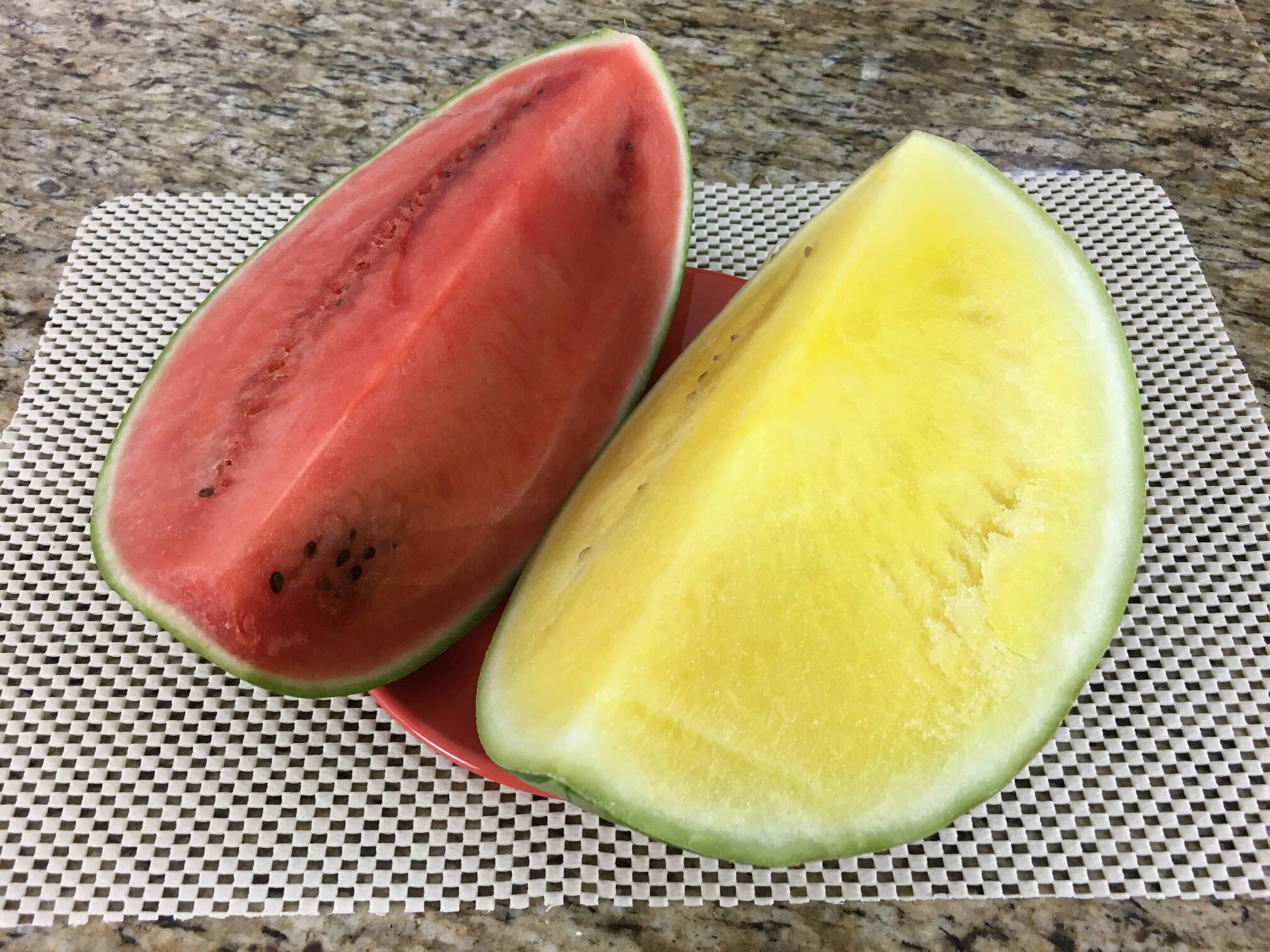 Melancia Amarela vs. Melancia Vermelha: Qual a Melhor Escolha?