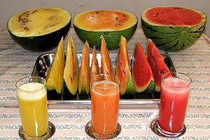 O Poder do Betacaroteno: Benefícios da Melancia Amarela para a Pele