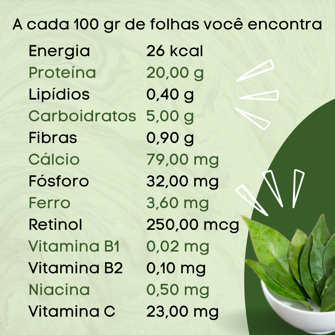Ora-pro-nóbis vs. Espinafre: Qual o mais nutritivo?
