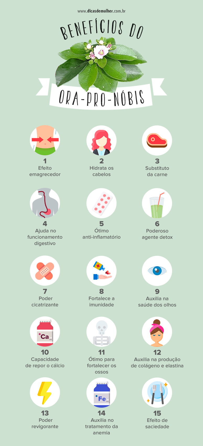 Como cultivar Ora-pro-nóbis em casa