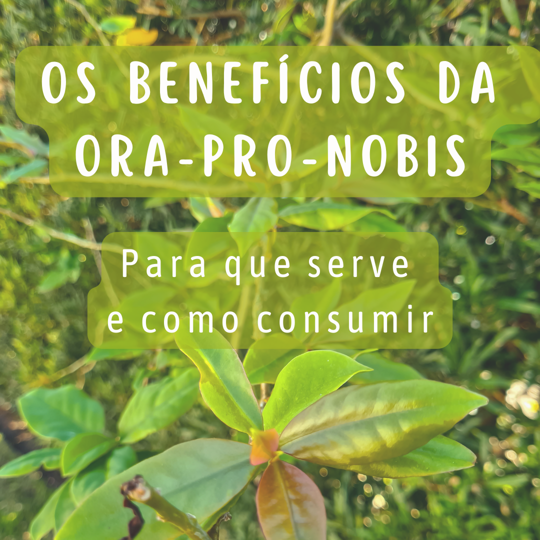 Ora-pro-nóbis para emagrecimento: Mitos e verdades