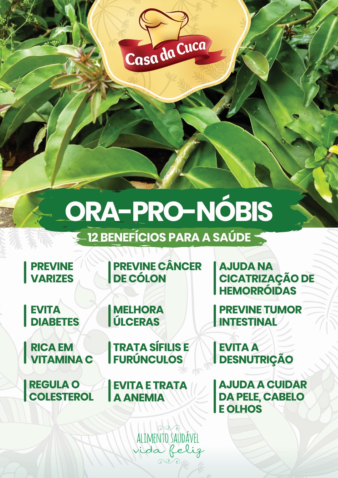 benefícios da ora-pro-nóbis para a saúde