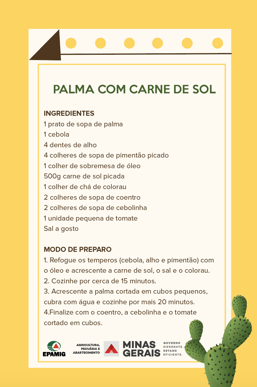 Como Preparar a Palma para Consumo Seguro