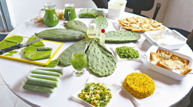 benefícios da palma forrageira para humanos