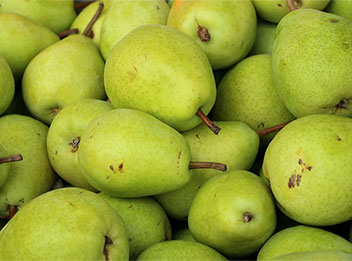 Pera na dieta: Guia completo de consumo e benefícios