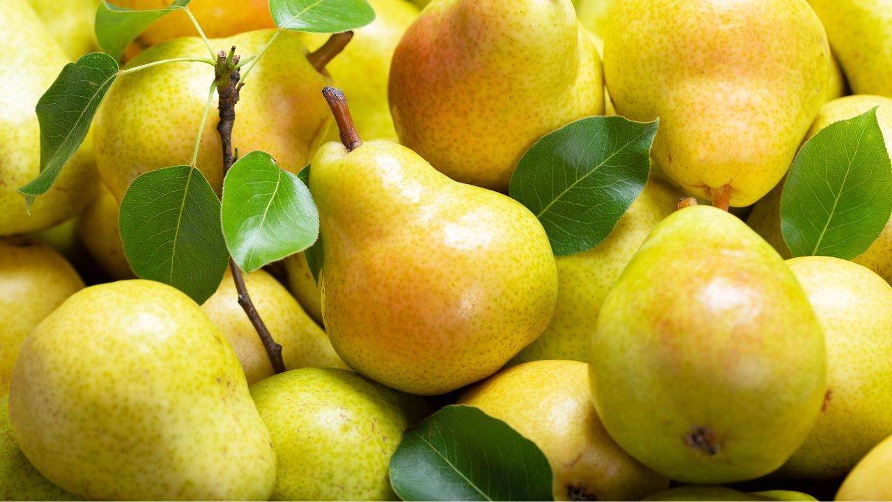 Mitos e verdades sobre a pera e o emagrecimento