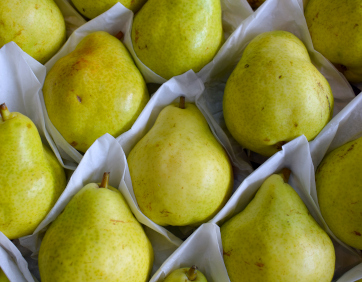 benefícios da pera williams