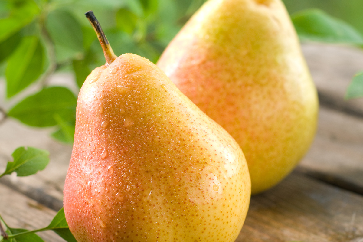 Pêra Williams vs. Outras Frutas: Uma Comparação Nutricional