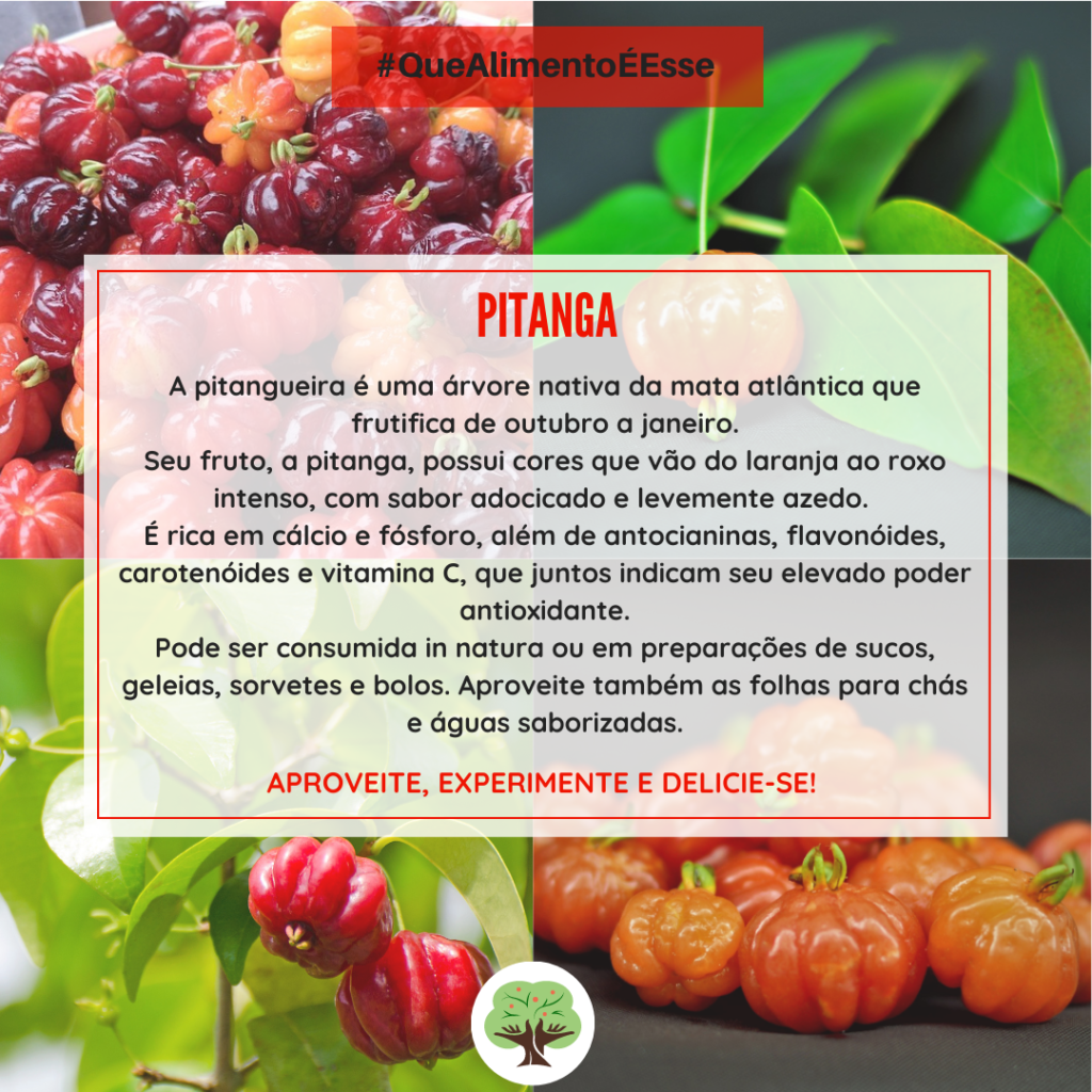 benefícios da pitanga para a saúde