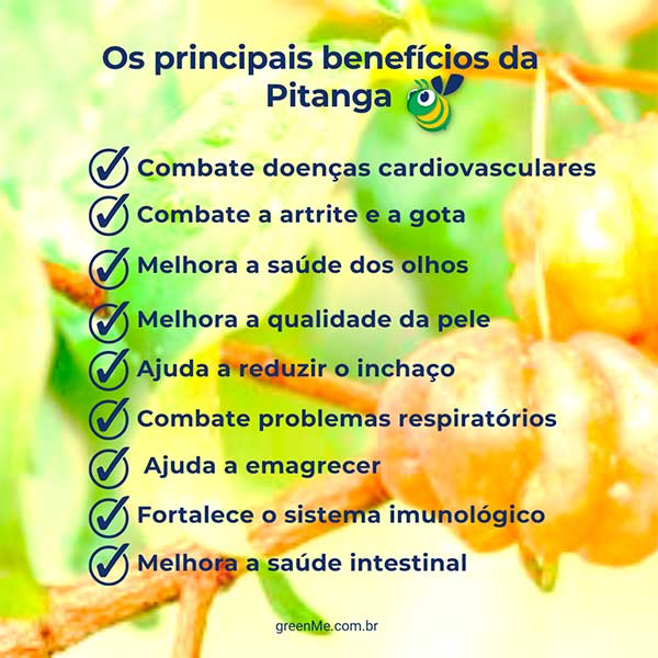 5 ideias de títulos:
1. Pitanga: A Superfruta Brasileira e Seus Incríveis Benefícios para a Saúde
2. Chá de Pitanga: Um Remédio Natural para Pressão Alta e Problemas Digestivos
3. Pitanga no Combate ao Envelhecimento Precoce e Fortalecimento da Imunidade
4. Como Usar a Pitanga para Melhorar a Saúde do Fígado e Controlar o Açúcar no Sangue
5. Receitas Deliciosas e Saudáveis com Pitanga: Sucos