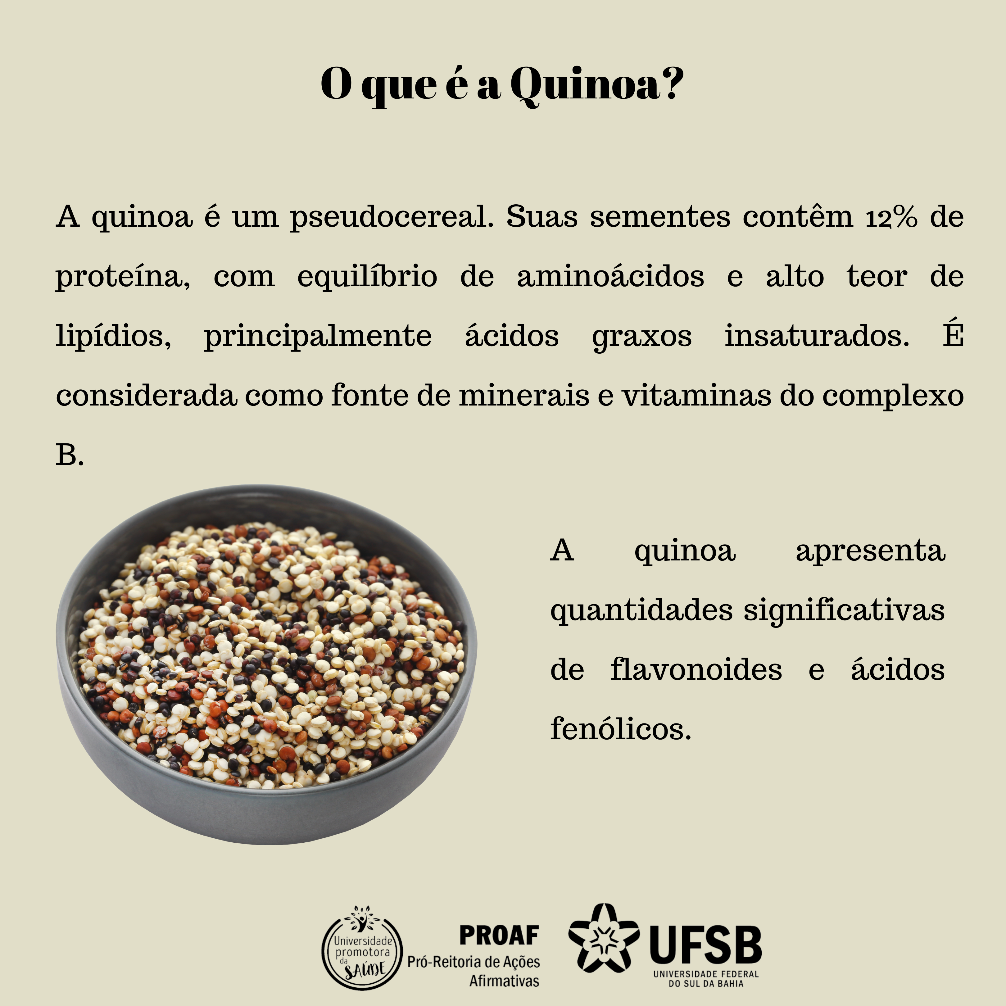Quinoa: O Guia Completo para Iniciantes
