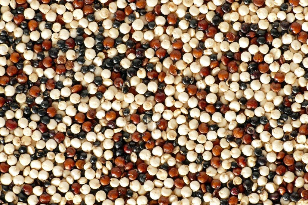 Como a Quinoa Ajuda na Perda de Peso
