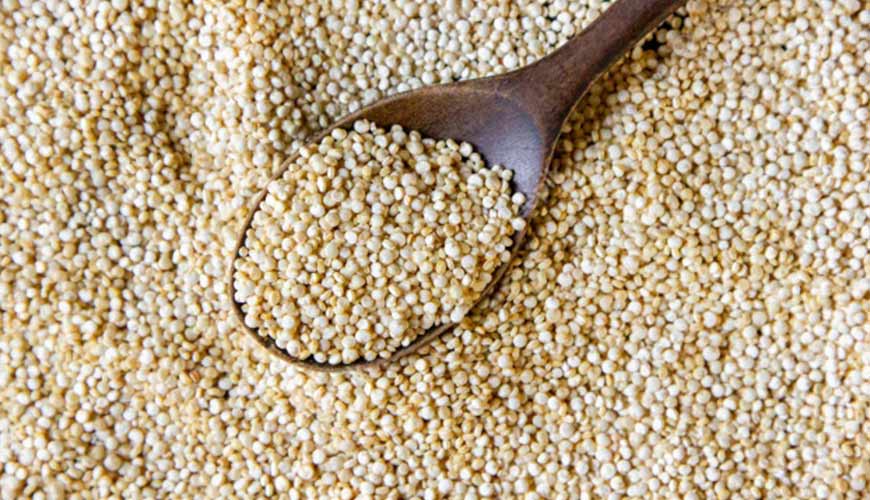 benefícios da quinoa (folha e grão)