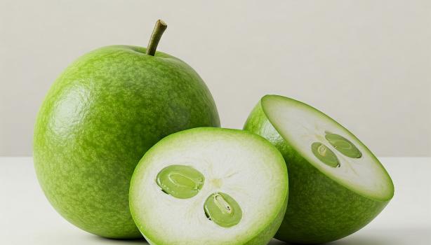 Umbuzeiro: A árvore da vida no semiárido