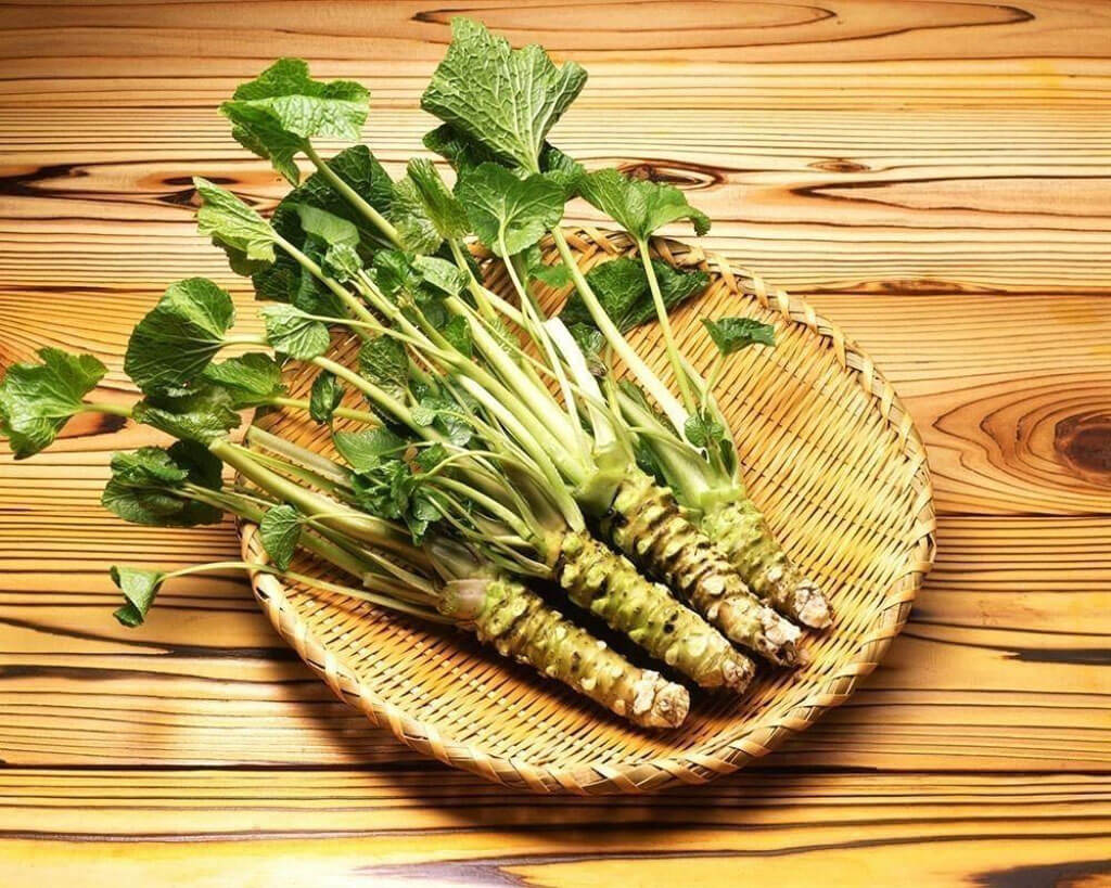 benefícios da raiz forte (wasabi)