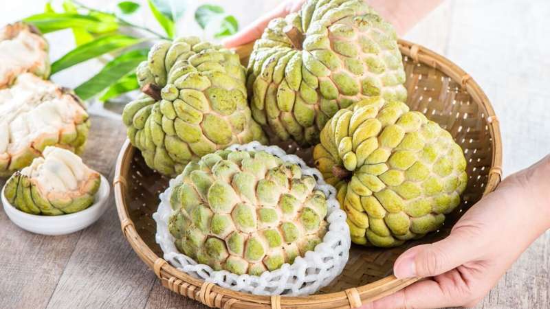 Receita de chá das folhas de fruta-do-conde para inflamações