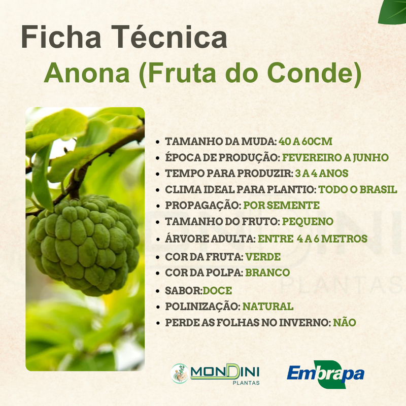 Estudos científicos sobre o potencial antitumoral da Annona squamosa