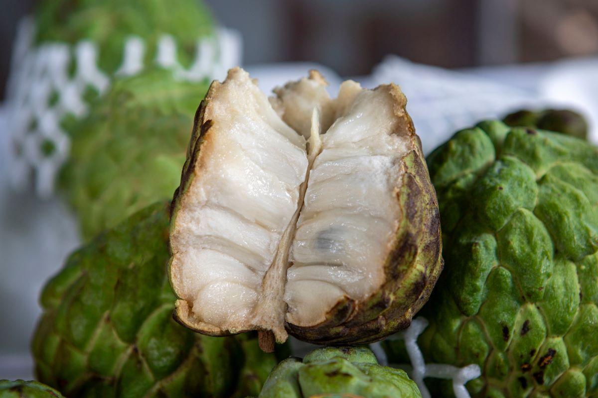 Guia completo sobre os parasitas que as sementes de fruta-do-conde podem combater