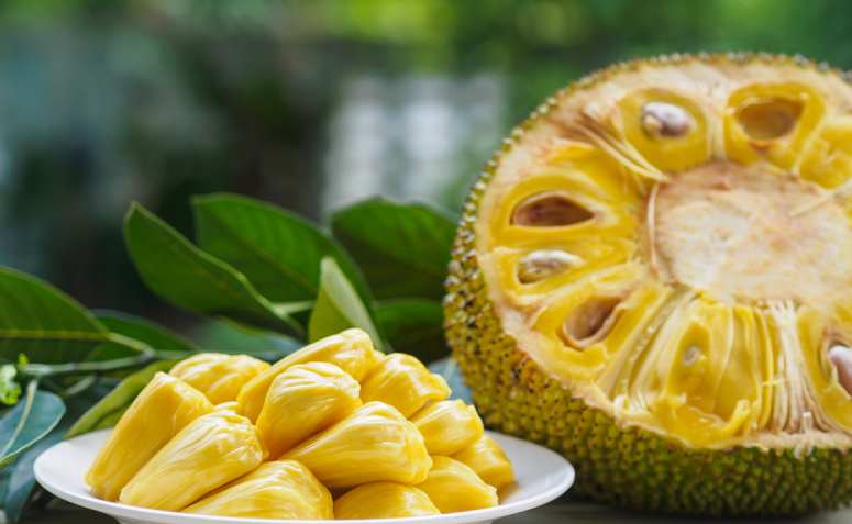 5 Receitas Criativas com Caroço de Jaca Torrado