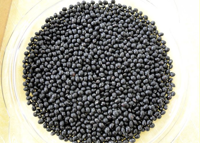 benefícios da soja preta